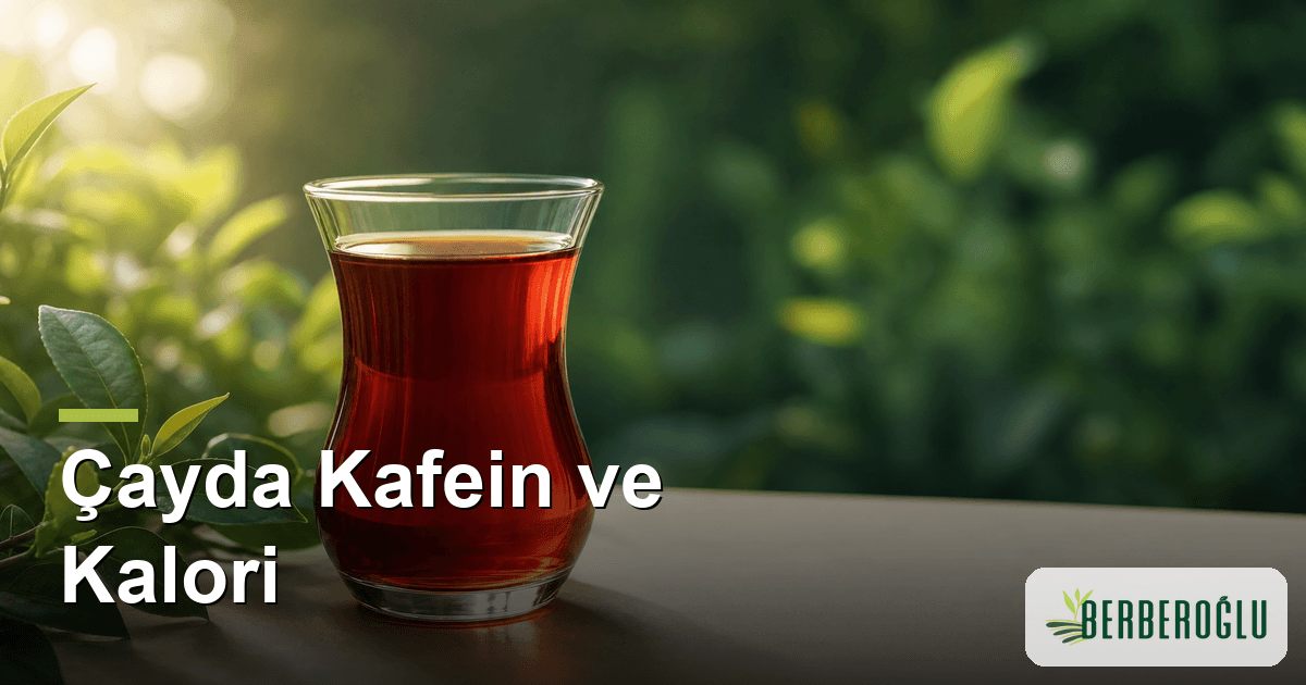 Çayda Kafein ve Kalori: Günde Kaç Bardak Çay İçilmeli?