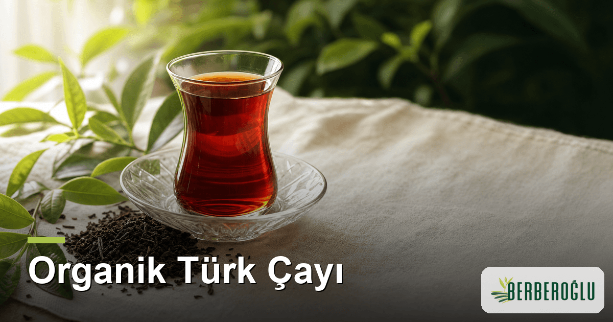 Organik Türk Çayı: Rize'den Sofranıza Katkısız Lezzet