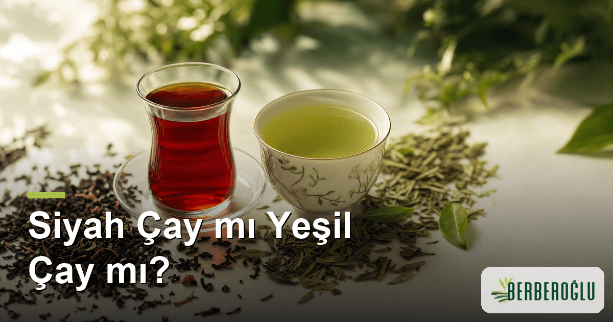 Siyah Çay ve Yeşil Çay Arasındaki Fark